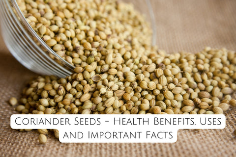 Coriander Seeds - Health Benefits, Uses and Important Facts