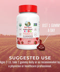 MaryRuth Organics Organic Kids Probiotic Gummies
