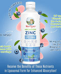 MaryRuth Organics Megadose Zinc Liposomal (15.22 oz)
