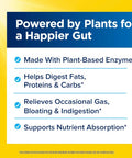 Renew Life DigestMore Digestive Enzymes | 90 Vegetable Capsules