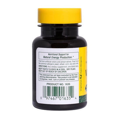 Natures Plus Vitamin B 2 250 Mg Sustained Release 60 Tablets