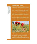 Traditional Medicinals Ginger Aid 16 Tea Bags