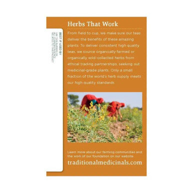 Traditional Medicinals Ginger Aid 16 Tea Bags