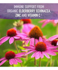 Garden of Life Mykind Organics Elderberry Syrup