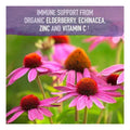 Garden of Life Mykind Organics Elderberry Syrup