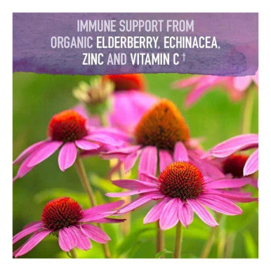 Garden of Life Mykind Organics Elderberry Syrup