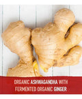 Garden of Life Mykind Organics Ashwaganda Stress-Mood