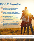 EuroMedica BosPro - 60 Softgels - Extra Strength Boswellia Supplement - Healthy Inflammation Response, Promotes Cellular Health - Non-Drowsy - 60 Servings