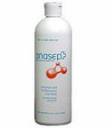 Wound Cleanser Anasept 15 oz. Flip Top Bottle 1 Each By Anacapa