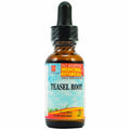 Teasel Root Xu Duan 1 Oz By L. A .Naturals