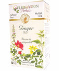 Organic Ginger Root Tea 24 Bags By Celebration Herbals
