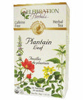 Organic Plantain Leaf Tea 24 Bags By Celebration Herbals
