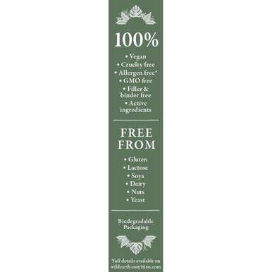 Wild Earth Multivitamin & Minerals for Men 30's