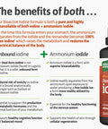 Nature Provides Dual-Form Iodine 675mcg 30ml