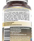 Amazing Formulas Lecithin Dietary Supplement 1200 Mg High Potency Lecithin Softgels (Non Gmo,Gluten Free) -Promotes Brain & Cardiovascular Health Aids In Cellular Activities 240 Softgels
