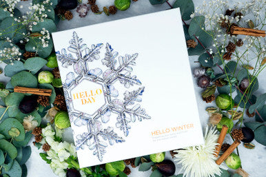 Hello Day Hello Winter