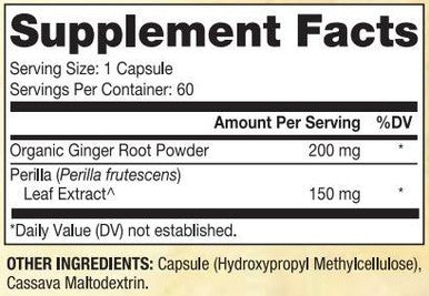 Dr. Mercola Fermented Ginger