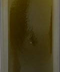 Badia a Coltibuono Extra Virgin Olive Oil 33.8 oz
