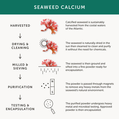 Together Seaweed Calcium 60 caps