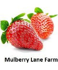 Yellow Popcorn Popping Corn, 5 Pounds Kernels, USDA Certified Organic, Non-GMO Bulk, Product of USA, Mulberry Lane Farms
