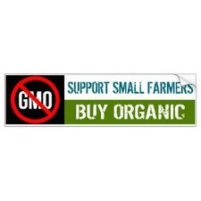 Yellow Popcorn Popping Corn, 5 Pounds Kernels, USDA Certified Organic, Non-GMO Bulk, Product of USA, Mulberry Lane Farms