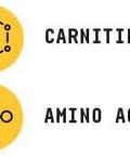 Beyond Raw Chemistry Labs L-Carnitine Powder Fuels Exercise And Supports Recovery 30 Servings