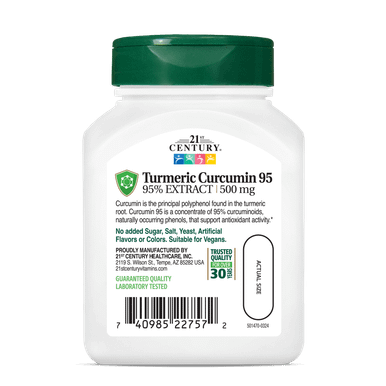 21st Century Curcumin 95 Herbal Supplements, 45 ea
