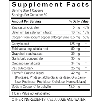 Intestinal Support 60 caps by Transformation Enzyme