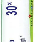Boiron Spongia Tosta 30X For Dry Barking Cough 80 Pellets