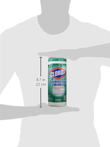 Clorox Wet Wipes Lemon Fresh & Fresh Scent 3 Ct
