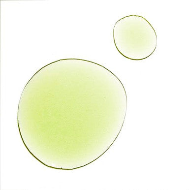 Uma Pure Calm Wellness Oil Nourishing Aromatic & Harmonizing 100 Ayurvedic & Sustainable Contains Chamomile & Lavender Promotes Mindful & Soothing Effect