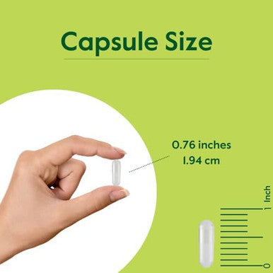 Bestvite Milk Thistle 300Mg (240 Vegetarian Capsules) - Standardized To 80% Silymarin Flavonoids - No Stearates - Vegan - Non Gmo - Gluten Free