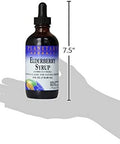 Planetary Herbals Elderberry Syrup, 4 Fluid Ounce