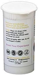 Dream - Sleep Blend - Terpene Aromatherapy Blend - 5ml - MADE IN CANADA