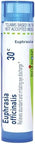 Boiron Euphrasia Officinalis 30C Homeopathic Medicine For Eye Discharge 80 Pellets