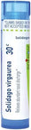 Boiron Solidago Virgaurea 30C For Abundant Nasal Discharge 80 Pellets