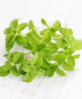 150+ Stevia Sweetleaf Seeds for Planting, Sugar Leaf Stevia Plant Seeds, Natural Sweetener Herb Seeds, Perennial Plant for Home Garden, Container, Tea & Sugar-Free Recipes, Non-GMO