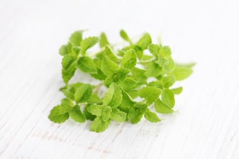 150+ Stevia Sweetleaf Seeds for Planting, Sugar Leaf Stevia Plant Seeds, Natural Sweetener Herb Seeds, Perennial Plant for Home Garden, Container, Tea & Sugar-Free Recipes, Non-GMO