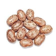 Pinto Beans, 5 Pounds Dried, USDA Certified Organic, Non-GMO Bulk, Product of USA, Mulberry Lane Farms