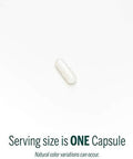 Genestra Brands Zinc Picolinate Formula Supports Immunity, Skin, And Connective Tissue Formation 60 Capsules