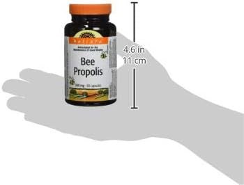 Holista Bee Propolis, Capsule 500 mg 80 Count