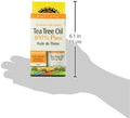 Holista Tea Tree 100 Percent Pure Oil, 50ml