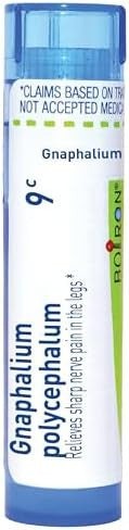 Boiron Gnaphalium Polycephalum 9C Homeopathic Medicine For Sharp Nerve Pain In The Legs 80 Pellets