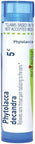 Boiron Phytolacca Decandra 5C For Sore Throat Pain Radiating To The Ears 80 Pellets