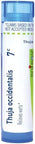 Boiron Thuja Occidentalis 7C Homeopathic Medicine Warts 80 Pellets