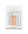 Sigma Beauty Lip Care Trio Conditioning Lip Mask Hydrating Lip Gloss Moisturizing Lip Balm Hyaluronic Acid VITAMIN E JOJOBA OIL