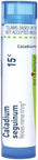 Boiron Caladium Seguinum 15C For Intense Itching 80 Pellets