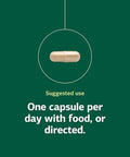 Standard Process Ferrofood Iron Supplement to Support Normal Blood Production Aid Iron Absorption with Vitamin C Health Supplement with Alfalfa Spanish Moss Vitamin B12 and More 40 Capsules