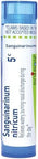 Boiron Sanguinarinum Nitricum 5C For Watery Nasal Discharge 80 Pellets