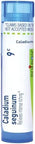 Boiron Caladium Seguinum 9C For Intense Itching 80 Pellets